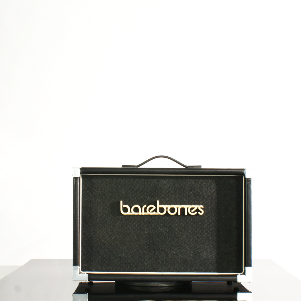 2x8_2x10_barebonesAmps_Unloaded_cab_1
