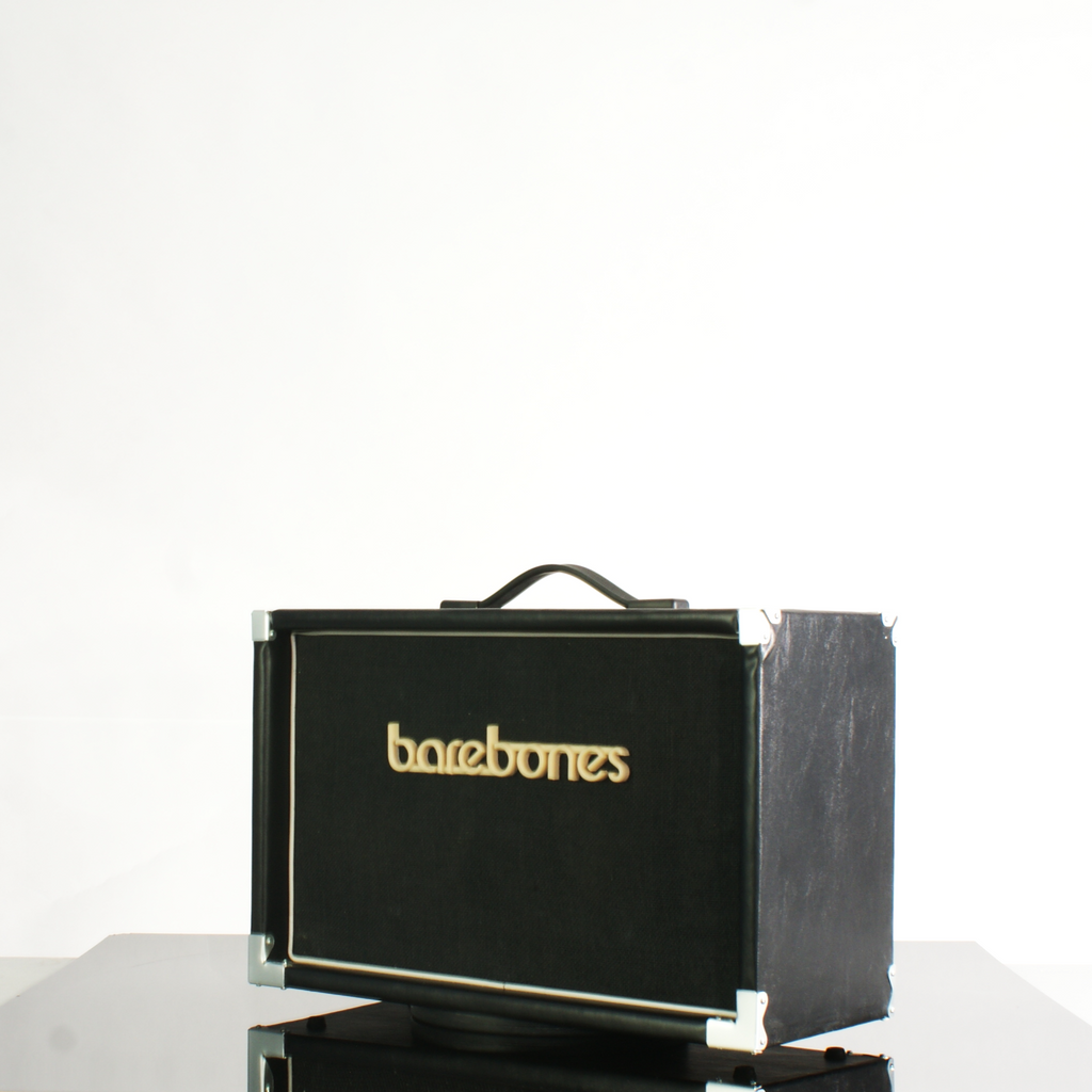 2x8_2x10_barebonesAmps_Unloaded_cab_2