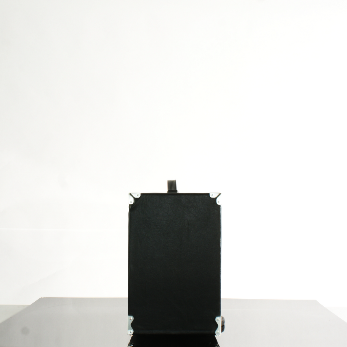 2x8_2x10_barebonesAmps_Unloaded_cab_3