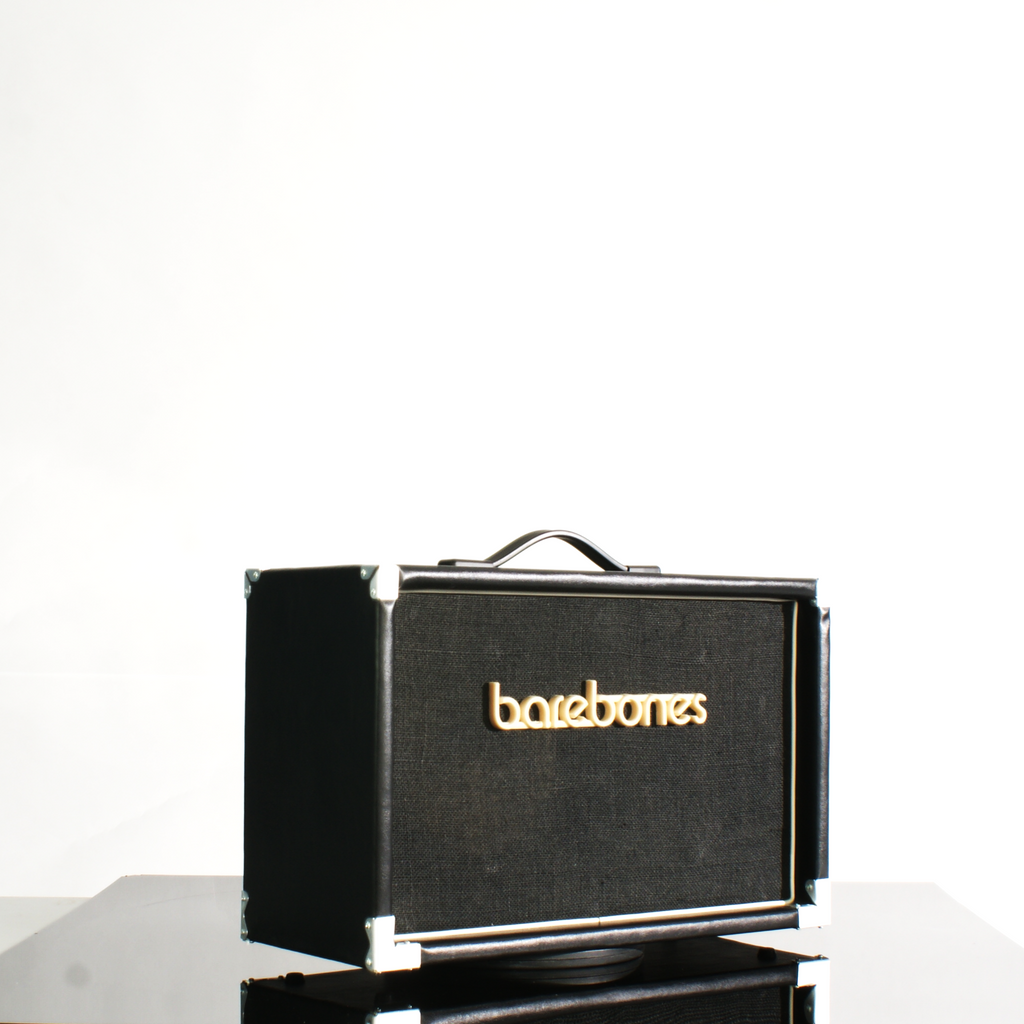 2x8_2x10_barebonesAmps_Unloaded_cab_8